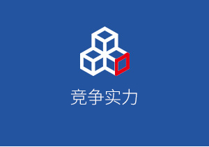 競爭實力